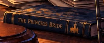 Navy Princess Bride book on the auction desk