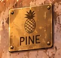 THE PINE PLAQUE. The pineapple and PINE name point to the fund's pseudonymous founder. This invented plaque is a storytelling clue, not a documented dedication at a particular water point.