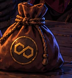 THE POLYGON POUCH. The right-hand pouch bears Polygon's linked emblem. Together with the chest and BSC pouch, it makes the three-chain reach visible. Poly Network and Polygon are distinct projects.