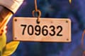 BLOCK 709632. The small horizontal tag hanging beside the graft reads 709632. That number identifies the block height at which Taproot became active on 14 November 2021. It marks activation itself, after the earlier miner signalling process.