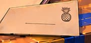 THE PINEAPPLE ENVELOPE. A pineapple stamp and blank sender line recall card 050, The Pineapple Fund. This crossover does not identify an actual donor.