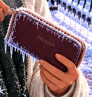 THE FROZEN CELSIUS PURSE. The name on the purse identifies Celsius. Ice around its edge makes the withdrawal freeze tangible: the money is close at hand but cannot be reached.